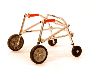 W2BAC on a W2B Posture control walker.