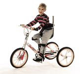 Tricycle Accessories